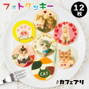 【ポイント5倍】【画像12種類】猫 お菓子 ギフト オーダーメイド クッキー 12枚 カフェプリ ねこ 推し活 プリントク…