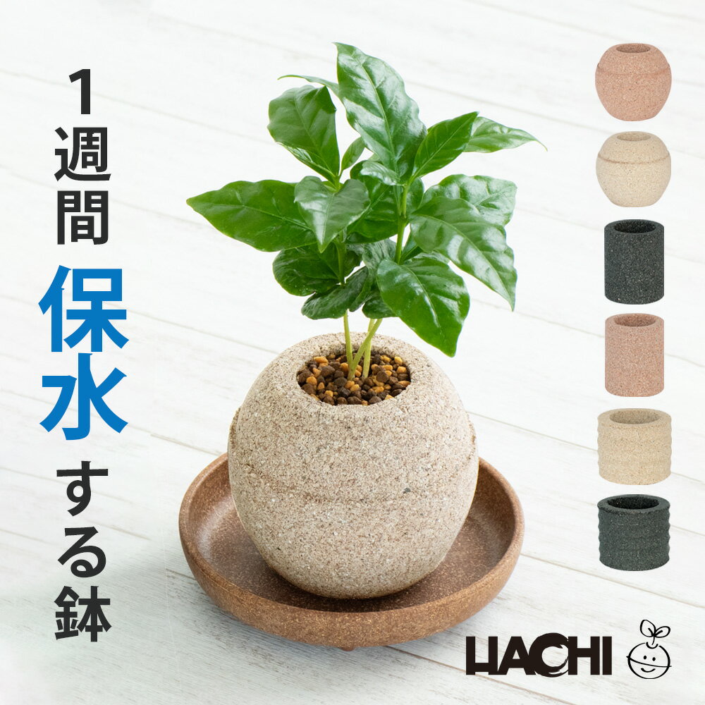 消費税無し 楽天市場】アクア ポット（植木鉢・プランター プラン 鉢・プランター