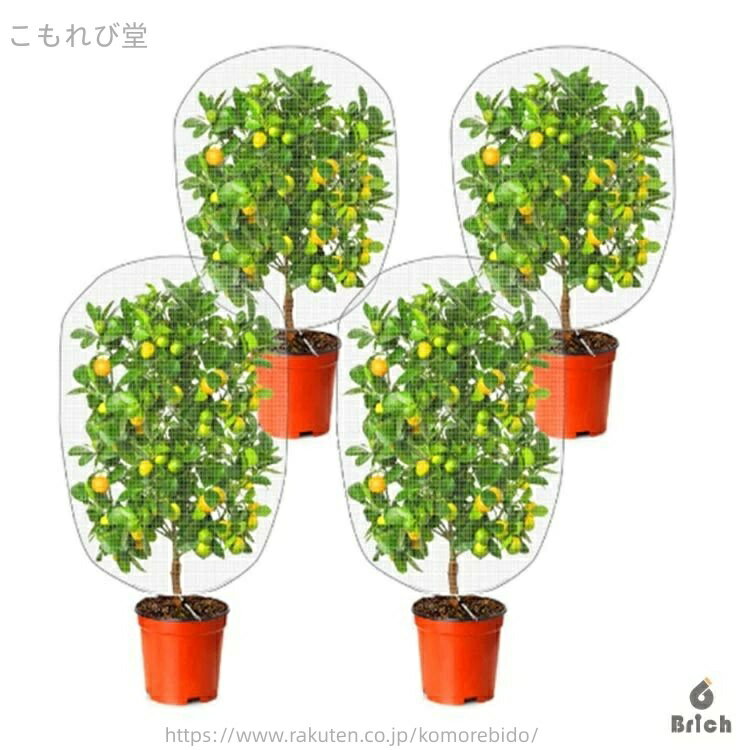 【送料無料】ネット 菜園 3枚入り 防鳥ネット 花壇適用 3枚入り 植物保護カバー 防...