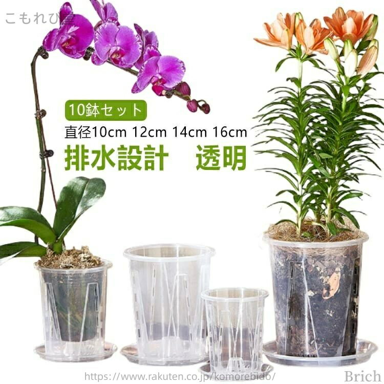 【送料無料】透明 プラスチック 観葉植物の鉢 クリア 根が見える鉢 観葉植物の植え替え 植え替え 鉢 スリット鉢 受皿付き