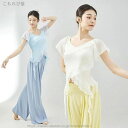 【送料無料】ダンス衣装 トップス フリル 可愛い 肌隠し おしゃれ ダンストップス レディース 大人 ダンス 衣装 レッスン着 ストレッチ 動きやすい トップス...