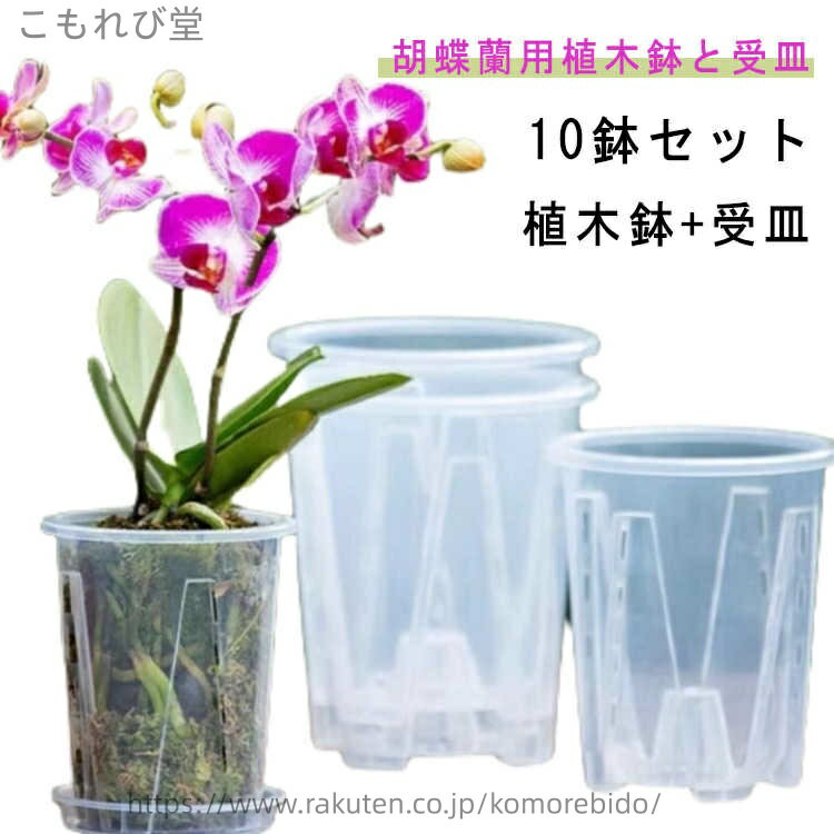 【送料無料】10鉢セット 屋外 観葉植物 蝶蘭 植木鉢 植木鉢 プラスチック 蘭の鉢 胡蝶蘭鉢 穴付き 受皿付き 屋内 植木鉢 胡蝶蘭の植え替え オーキッドポット