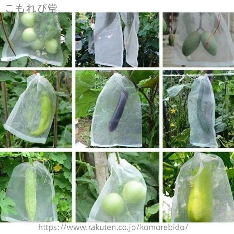 【送料無料】洋梨 桃 50枚入 害虫鳥対策 果物保護バッグ 果物袋 果実ネット 果実保...