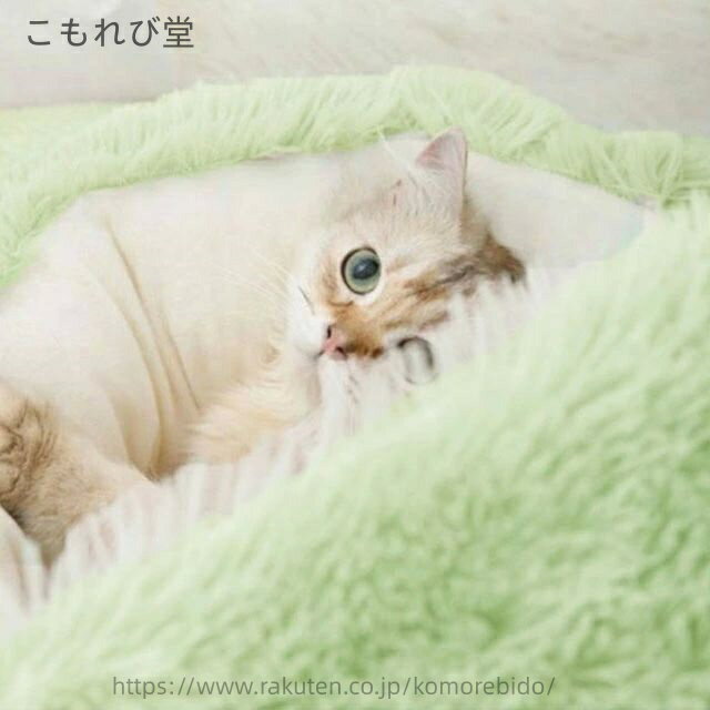 サンプル画像2