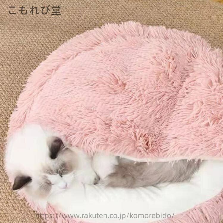 サンプル画像3