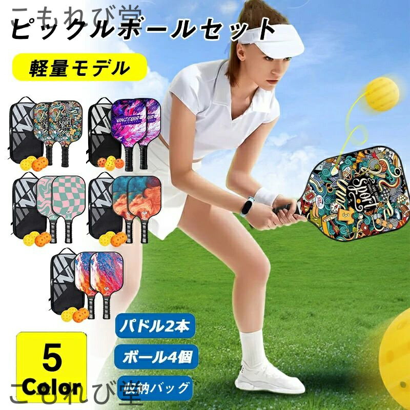 【送料無料】ポータブル ピックルボールコートセット ピックルボールセット パドル2本 ピックルボール4個付き キャリングバッグ 家族 親子