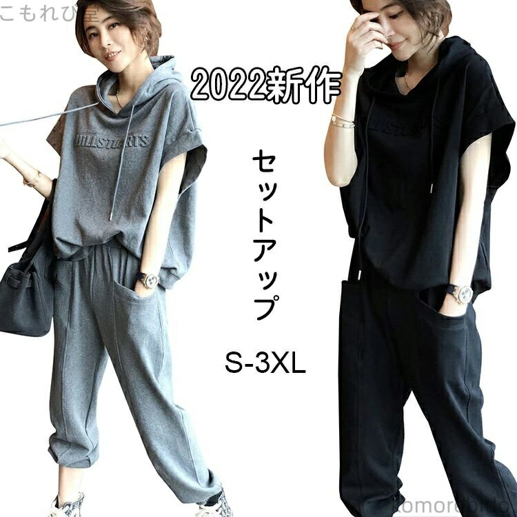 ̵Ⱦµ ǥ 2022 ղ 2å 岼