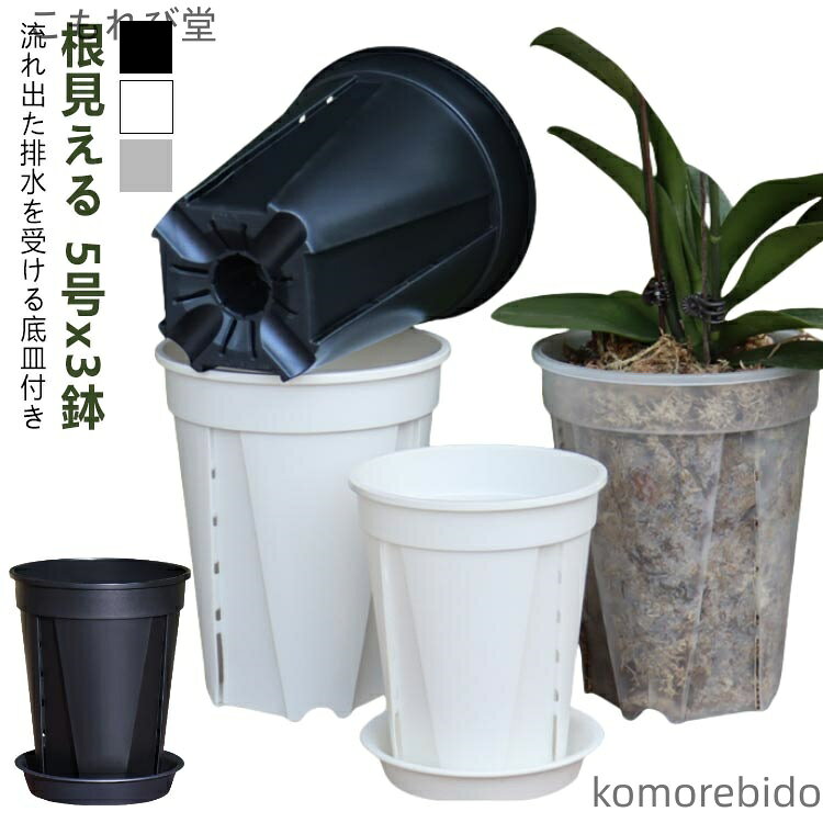 【送料無料】スリット鉢 鉢 透明スリット鉢 植木鉢 透明 植え替え 鉢 観葉植物の植え替え 根 植木鉢 3鉢セット 5号サイズ