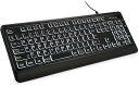 大きめの文字のバックライト付きキーボード、静かなUSB有線コンピューターキーボード、光るホワイトLED付きフルサイズキーボード Windowsデスクトップ、ノートパソコン、PC、ゲームに対応