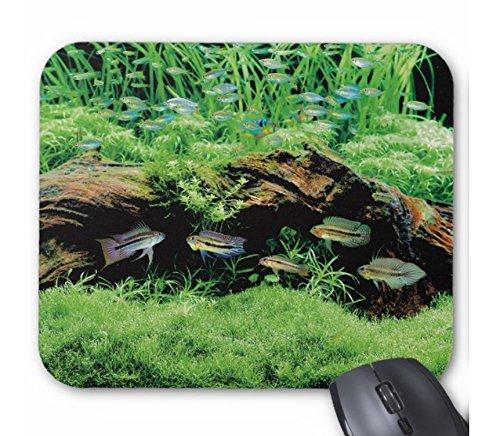 アピストグラマたちと水草レイアウトのマウスパッド：フォトパッド（ 世界の熱帯魚シリーズ ）