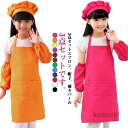 【送料無料】帽子 子ども エプロン 子供 女の子 キッズ 子供 かわいい セット エプロン 袖カバー 小学生 男の子 おしゃれ こども キッズエ