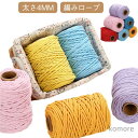 【送料無料】編み紐 毛糸 カラーロープ 4mm ウォールデコ ハンドメイド用 手芸素材 毛糸 タペストリー材料 DIY 編み物 中太タイプ