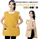 【送料無料】カフェエ ゆったり 動きやすい シワになりにくい ポケット付き バックル付き ショート丈 メンズ レディース エプロン
