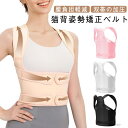 【送料無料】腰用 強力固定 改善 背筋サポーター 猫背矯正ベルト 女性用 強力加圧 二重加圧式 姿勢サポーター コルセット 男性用 通気性