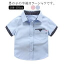 【送料無料】半袖 シャツ ドット柄 切り替え 襟付き 前開き フロントボタン 胸ポケット 男の子 男児 ボーイズ 薄手 清楚感 フォーマル 入園