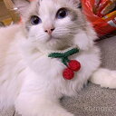 【送料無料】写真撮影 調整可能 アクセサリー 襟 子猫 ペットグッズ 首飾り くびわ かわいい 中型犬 小型犬 首輪 猫 手つくりニット首輪