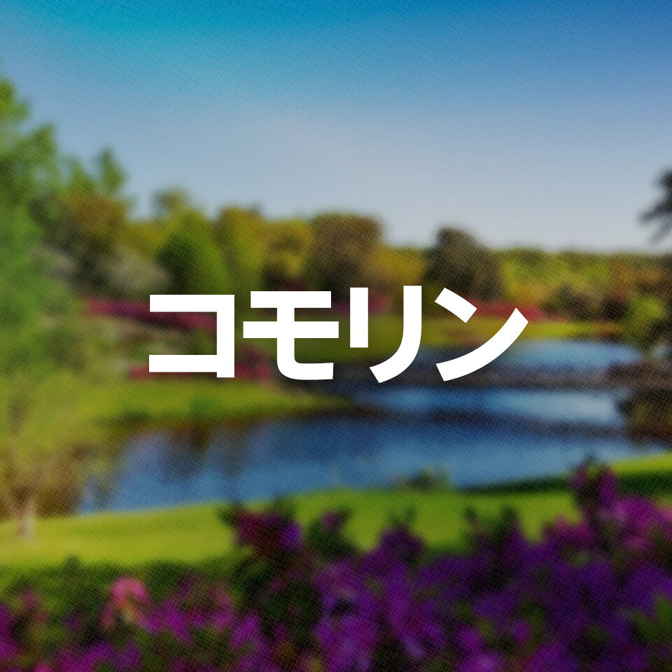 Shop icon