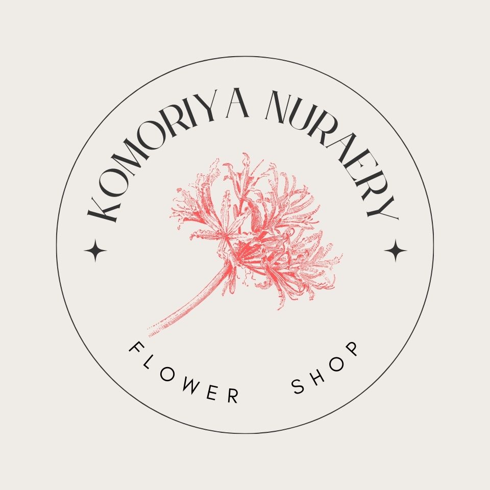 Shop icon