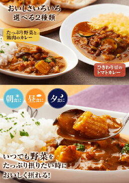 アマノフーズ AMNhatakecurry2 畑のカレー (1食) フリーズドライ 非常食品 災害対策食料 備蓄 長期保存食 インスタント 携行食