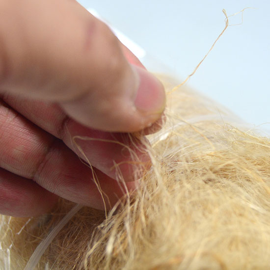 �֥å��奯��ե� ��βи��ʤۤ����� BUSHC22992 �Ф�����