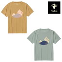 フォックスファイヤー CシールドマウンテンティーS/S FXF8215544 レディース/女性用 半袖Tシャツ C-SHIELD Mountain Tee S/...