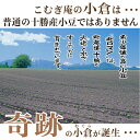 あんこ 約1kg 送料無料 十勝産小豆 北ロマン つぶあん こしあん 小倉 粒餡 あん お取り寄せ おうちで おうち時間 パン作り お菓子作り 手作り パン材料 お菓子材料※