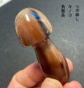 ツボ押し　キノコ型　&#127812; 材料：牛角 サイズ：6.2＾6.4cm；一番厚い部分2.5＾3cm； 天然素材のかっさ板、つぼ押しなどを用い、身体の経絡、つぼを 意識しながら擦り流すことにより、体内に蓄積された老廃物を排出し、 気血の流れを整え、体全体の機能の活性化を図り、 人が本来もっている自然治癒力を高める自然マッサージ方法は 現代中医界では疾病予防、健康維持、美容、整体などに幅広く利用 されています。 天然角製かっさ板、つぼ押しは刺激や静電気が無い為人肌に優しいです。 天然の牛角を使用しているため、 内含物の出方や色が写真とは多少異なる場合があります。 （サイズの誤差がございます。）ツボ押し　キノコ型　&#127812; 材料：牛角 サイズ：6.2＾6.4cm；一番厚い部分2.5＾3cm； 天然素材のかっさ板、つぼ押しなどを用い、身体の経絡、つぼを 意識しながら擦り流すことにより、体内に蓄積された老廃物を排出し、 気血の流れを整え、体全体の機能の活性化を図り、 人が本来もっている自然治癒力を高める自然マッサージ方法は 現代中医界では疾病予防、健康維持、美容、整体などに幅広く利用 されています。 天然角製かっさ板、つぼ押しは刺激や静電気が無い為人肌に優しいです。 天然の牛角を使用しているため、 内含物の出方や色が写真とは多少異なる場合があります。 （サイズの誤差がございます。）