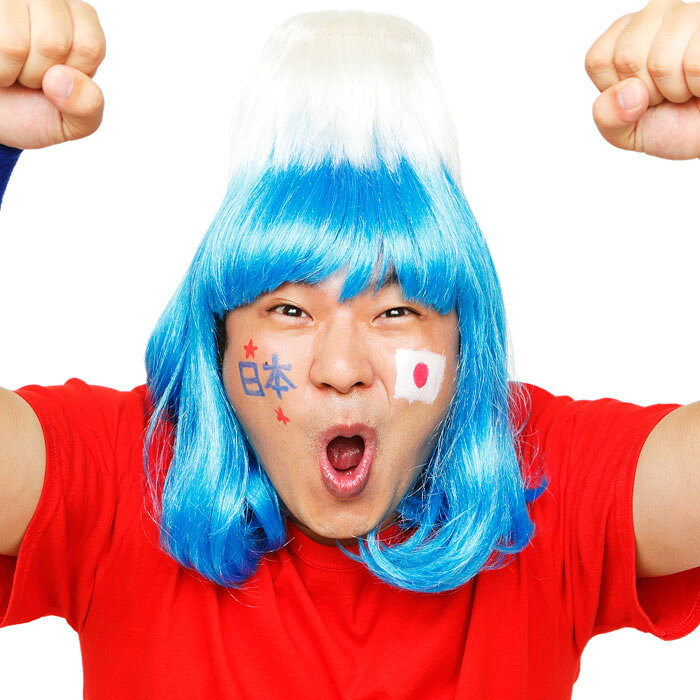 カツランド 日本の山 かつら 富士 応援 スポーツ観戦 かぶりもの パーティ 変装 仮装 宴会 コスプレ 小道具 クリアストーン 4560320863656 3