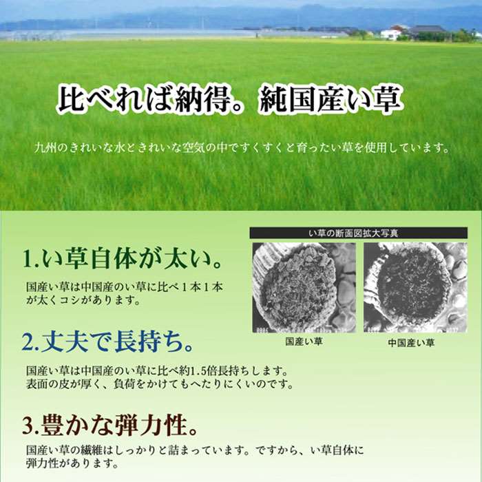 【代引不可】座布団 い草座布団 純国産 織込千鳥 ブロック 2枚組 ブラウン 約55×55cm イ草 ざぶとん 和室 IKEHIKO 3128010 [3]