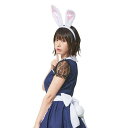 けもみみしっぽセット 白うさぎ うさ耳とシッポのセット うさぎ ウサギ うさみみ コスプレ 仮装 変装 かわいい 人気 クリアストーン 4560320889618