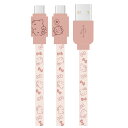 TILN^[Y USB Type-CΉ [dP[u n[LeB SANRIO LN^[ O}fB[Y SANG-304KT