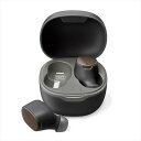 Bluetooth(R)5.3 完全ワイヤレス ステレオ イヤホン カナルタイプ 防水等級IPX5(BTE14後継品) ブラック PGA PG-BTE17TW1BK(2)