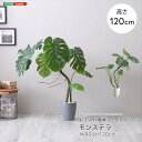 【北海道・沖縄・離島配送不可】【代引不可】お手入れ簡単フェイクグリーン モンステラ Sサイズ 120cm 観葉植物 人工 フェイク 人工観葉植物 ホームテイスト...