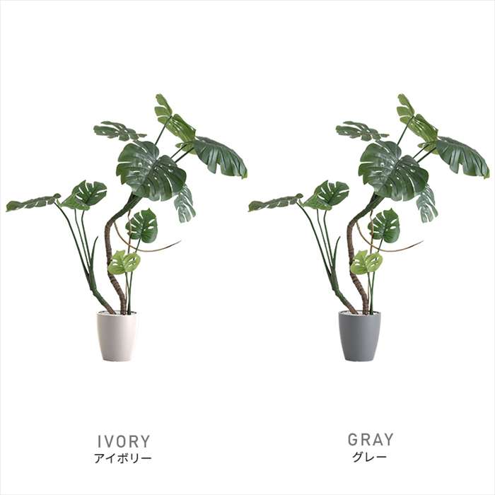 【北海道・沖縄・離島配送不可】【代引不可】お手入れ簡単フェイクグリーン モンステラ Sサイズ 120cm 観葉植物 人工 フェイク 人工観葉植物 ホームテイスト SH-06-MON-S 3