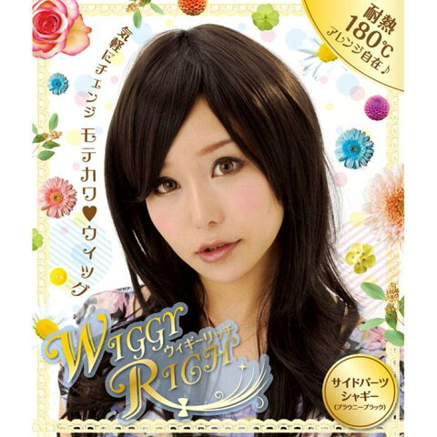 Wiggy Rich WIG サイドパーツシャギー(ブラウニーブラック) ウィッグ かつら かわいい 変身 コスプレ パーティー イベント クリアストーン 4560320846048