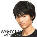 WIGGY RICH メンズ ナチュラルマッシュ ブラック ウィッグ かつら パーティー イベント コスプレ 仮装 変装 小道具 クリアストーン 4560320879954