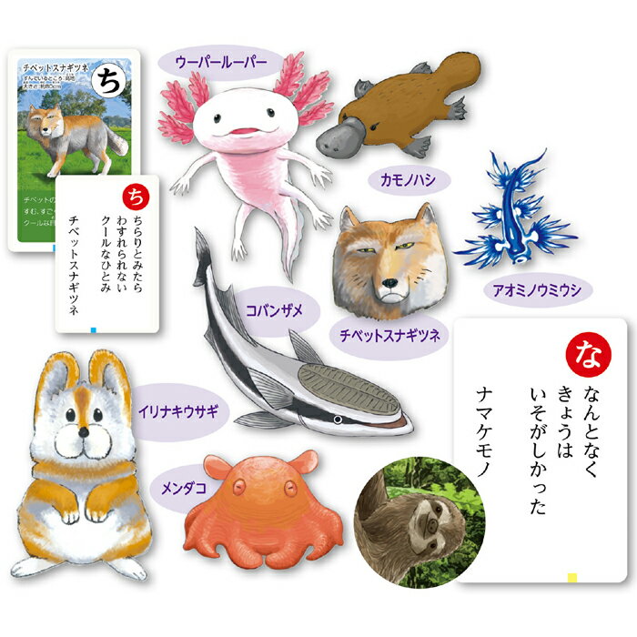変ないきものかるた カルタ カードゲーム 生物 知育玩具 室内遊具 お正月 遊び 学習 文字札 絵札 アーテック 3568 2