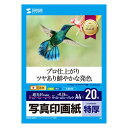 【あす楽】【代引不可】インクジェット写真印画紙 特厚タイプ A4サイズ 20枚入 超光沢 インクジェットプリンター 写真用紙 プロ並みの仕上り 速乾性 保存性 サンワサプライ JP-EP2NA4N