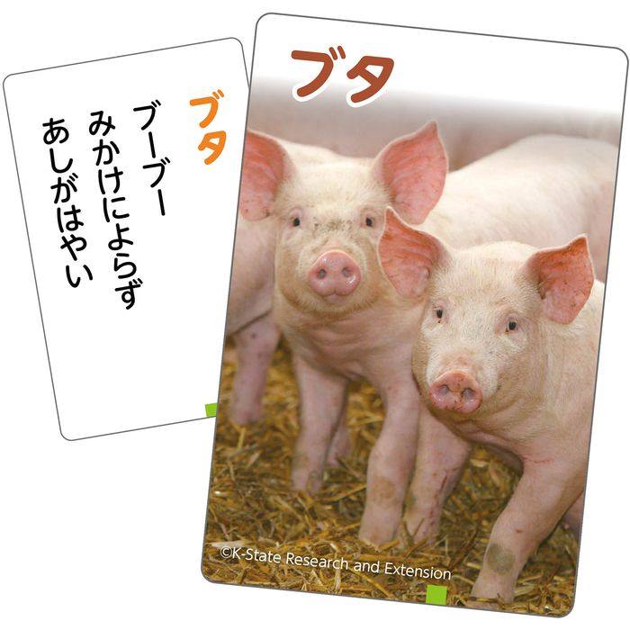 これはなんの音? かるた 〜いきもの〜 知育玩具 教材 動物 カードゲーム アーテック 21167