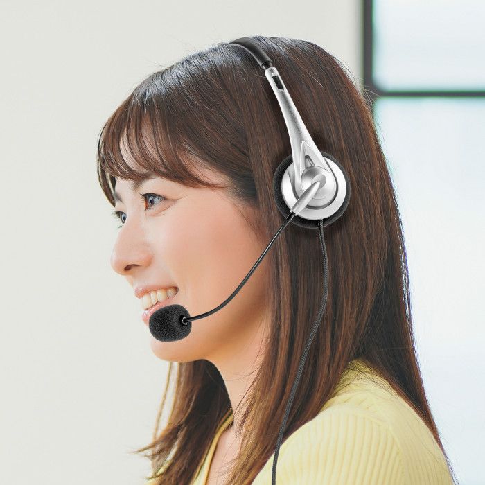 【代引不可】USB TypeC ヘッドセット マイク ヘッドホン 軽量 テレワーク WEB会議 サンワサプライ MM-HSTC03SV