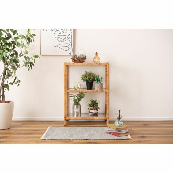 【北海道・沖縄・離島配送不可】【代引不可】ガラスシェルフ 天然ラタン スチールフレーム 飾り棚 ディスプレイ 幅50cm 東谷 GUY-258 [2]