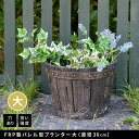 【北海道・沖縄・離島配送不可】【代引不可】FRP製バレル型プランター大(直径30cm) ダークブラウン 住まいスタイル EBP-30DBR