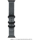 Apple Watch 42(Series 1,2,3)/44/45/46/49mm バンド 「CORVIN」 3バックルナイロンバンド グレー LEPLUS NEXT LN-AW49B20GY