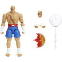 ストリートファイター サガット アクションフィギュア 1/12 スケール エヴォリート 4562437982244