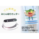 驚異の3枚刃で短時間料理を実現!!使い方は簡単!みじん切りカッター ロンアルビー h249