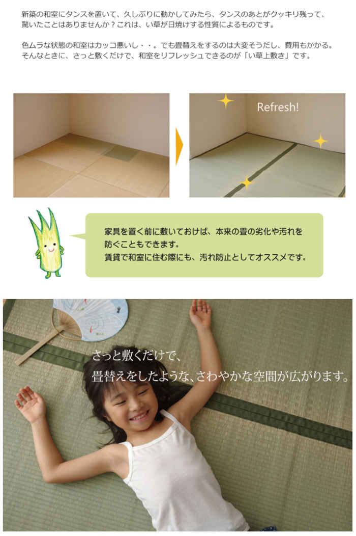 【沖縄・離島配送不可】【代引不可】い草 上敷きカーペット ござ 約286×286cm 本間4.5畳 畳の日焼けや汚れ防止に 空気浄化 調湿 消臭 抗菌防臭 両面 コンパクト収納 双目織 草津 純国産 日本製 IKEHIKO 1110684 [3]