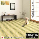 【北海道・沖縄・離島配送不可】【代引不可】ござ 本間6畳 約286.5×382cm カーペット ラグ 敷物 日本製 国産 ポリプロピレン 耐久性 汚れに強い 洗...