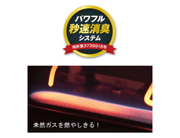 石油ファンヒーター 木造9畳まで コンクリート12畳まで 給油汚れんキャップ付きのスタンダードタイプ 暖房 防寒 ダイニチ FW-3218S(S)