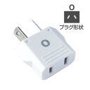 海外用 変換プラグ A→O 国内の電気製品のプラグを変換できる 旅行グッズ トラベルグッズ 【例外承認対象品・日本国内使用不可】 カシムラ NTI-504 2