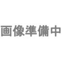 【沖縄・離島配送不可】HOゲージ 国鉄ワキ8000 塗装済み 番号無し 2両組キット 鉄道模型 貨車 貨物車 モデルアイコン 730W3